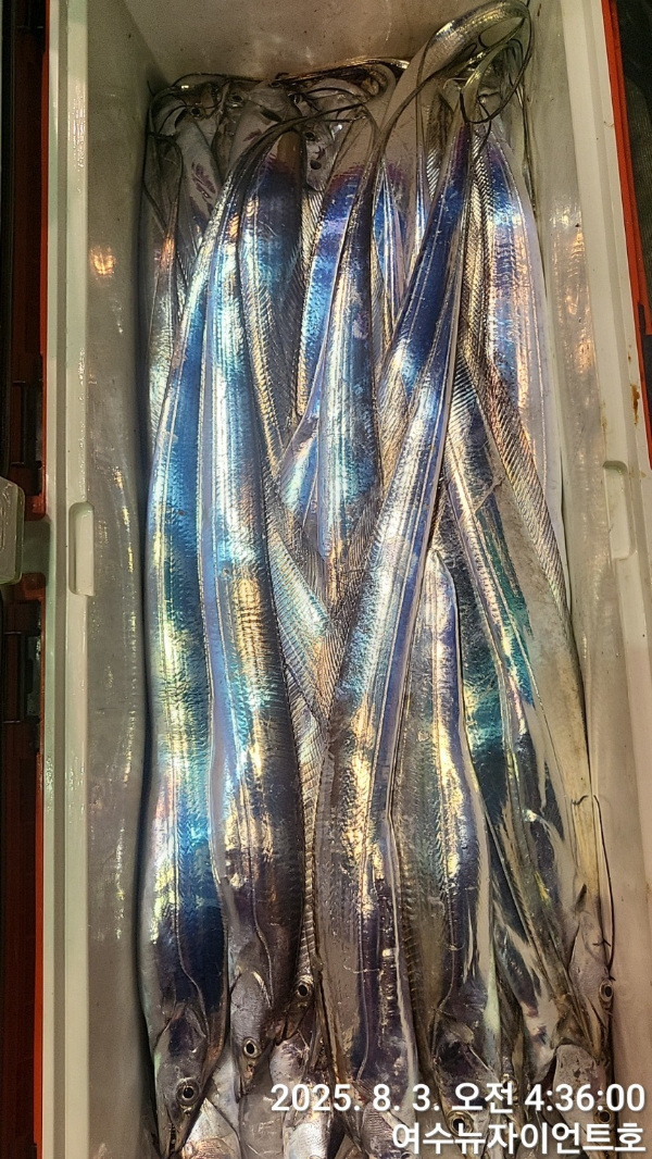1754173239971-9.jpg