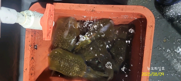 DateCamera0809001931.jpg