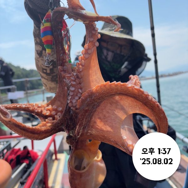 IMG_1391.jpeg