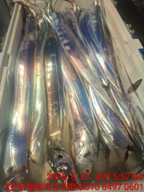 KakaoTalk_20250827_084016069_14.jpg
