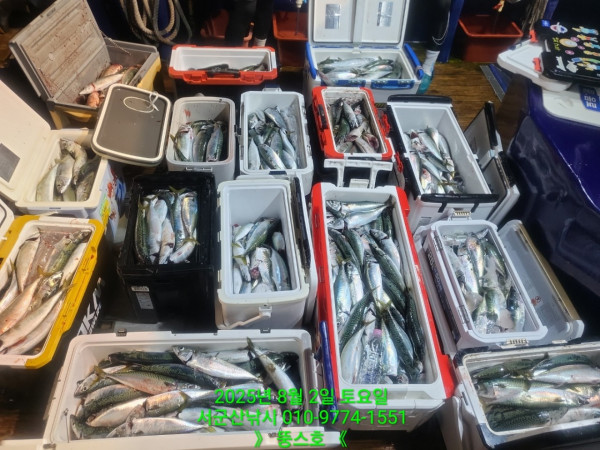 군산 선상낚시, 바다낚시 출조 전문 ☆서군산낚시☆_사진_20250802_17.jpg