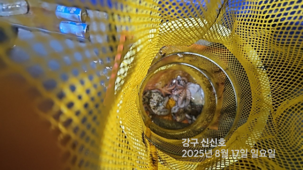 신신낚시 강구점 신신호_사진_20250817_18.jpg