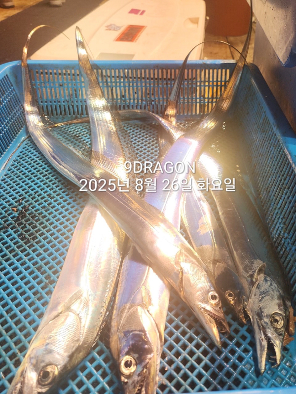 970B825E-0F33-4576-B79B-26B0A5586149.jpeg