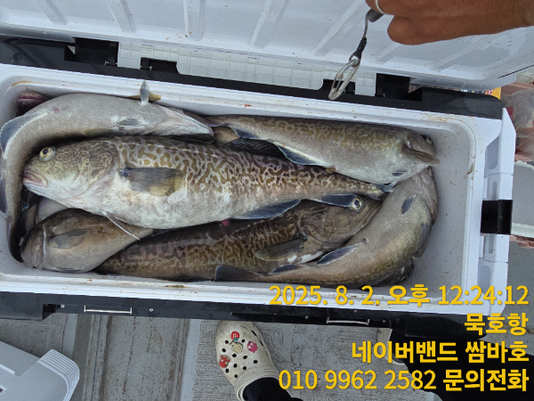 ef3795180970f322fc2cae073fcece7c.jpg