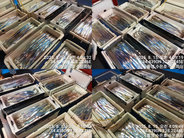 1755205278689-tile.jpg