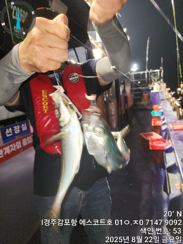 ef67785f85a15918b8f6836cf6dcca0c.jpg