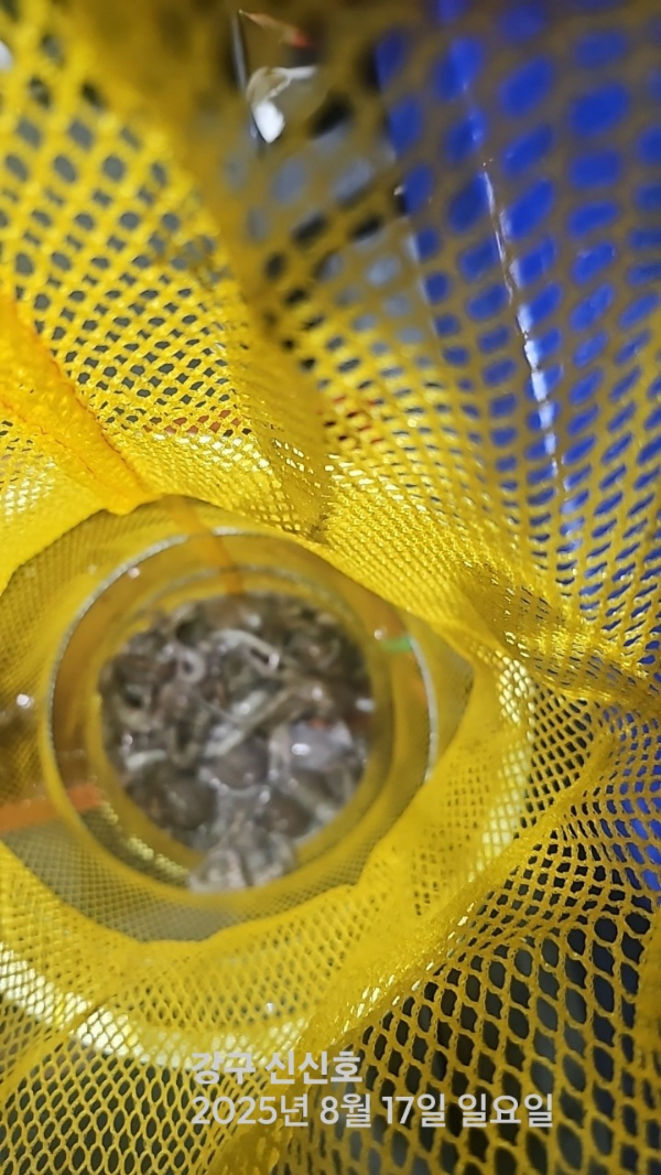 신신낚시 강구점 신신호_사진_20250817_9.jpg