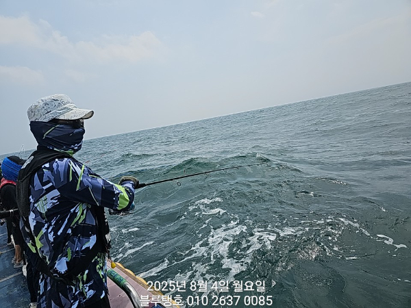 20250804_111317.jpg