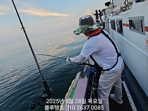 20250828_183735.jpg
