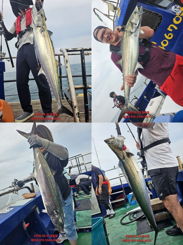 KakaoTalk_20250831_201751054_09.jpg