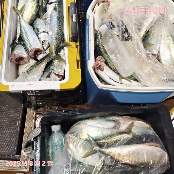 KakaoTalk_20250802_135732285_07.jpg