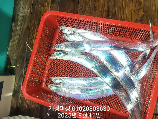 f17adf1813fdeaf2382e38cc0b96a01f.jpg