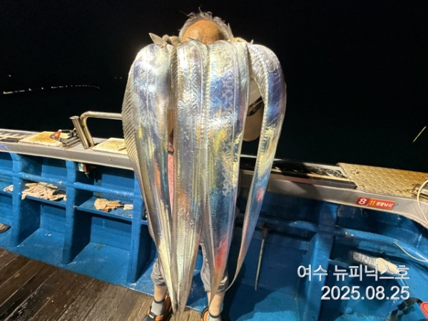 8월25일갈치 (37).jpg