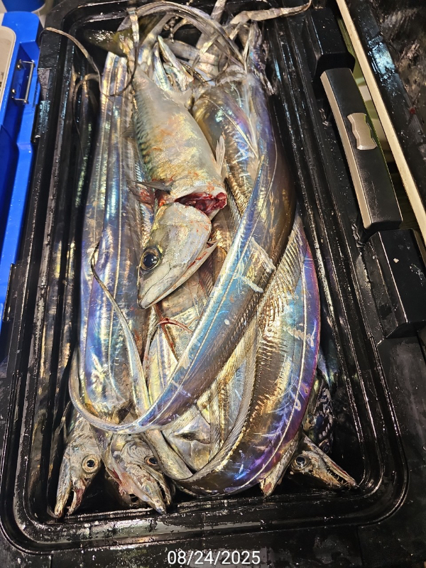 121104BD-9635-4AF8-841E-222A6A7AF361.jpeg