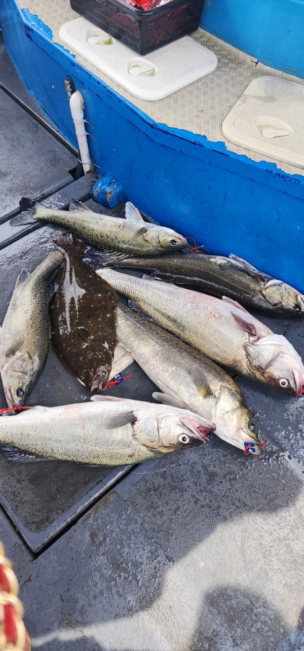 예지퀸호 농어외수질&어초낚시 경기인천권_사진_20250808_13.jpg