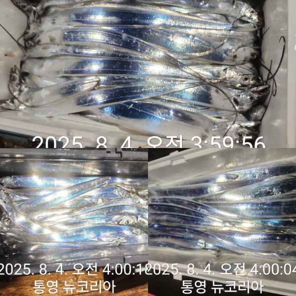 1000068435.jpg