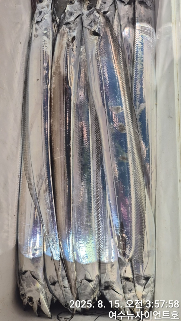 1755217967725-2.jpg