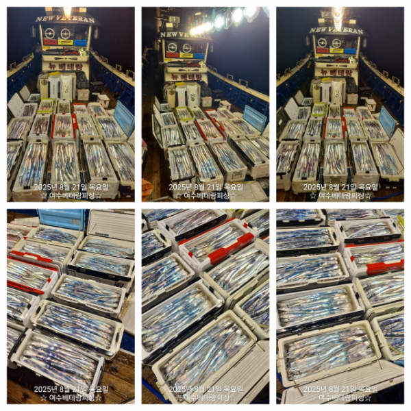 1000082540.jpg