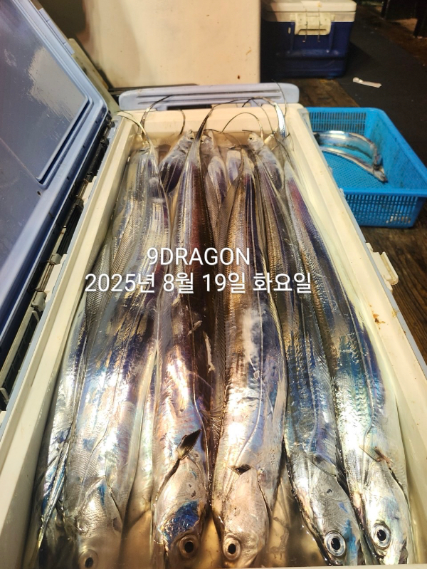 BE02B8FE-C1FE-46ED-A309-825C32C3DB21.jpeg