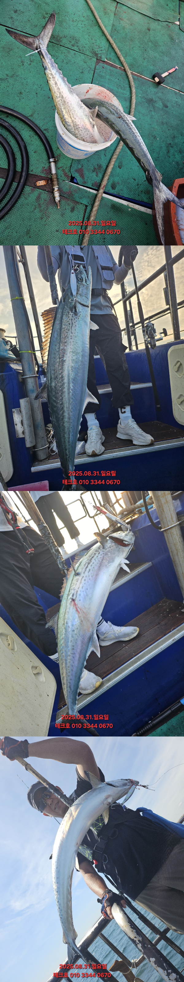 KakaoTalk_20250831_152622555_08-vert.jpg