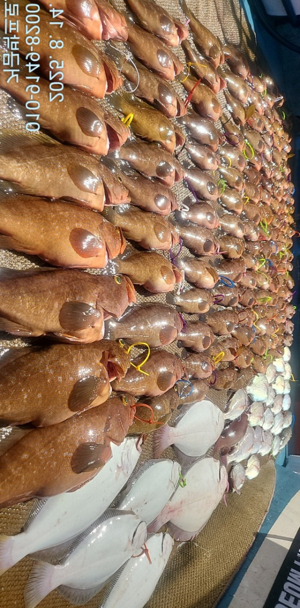 BandPhoto_2025_08_15_10_10_30_2.jpg