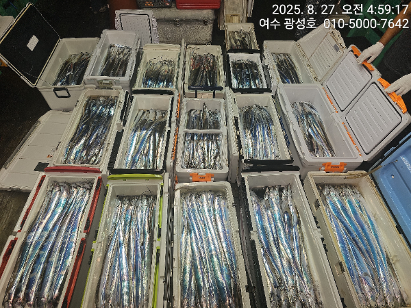 KakaoTalk_20250827_180442912_18.jpg