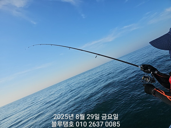 20250829_082025.jpg