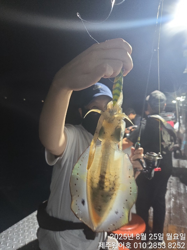 제주왔어호_사진_20250826_13.jpg