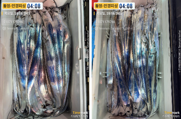 이미지.jpeg