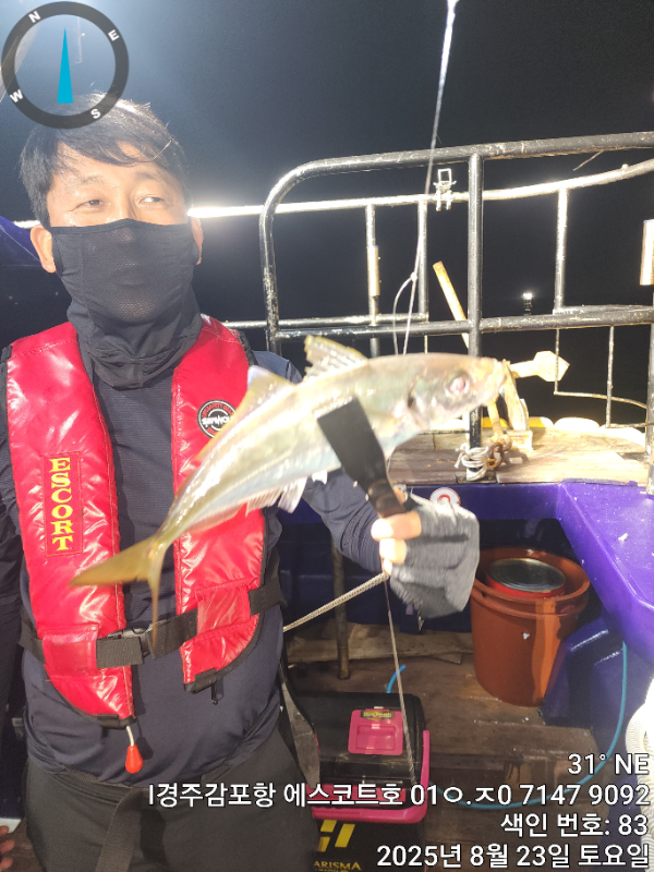f3bd63b0350e29799726bcd5e8015b4a.jpg