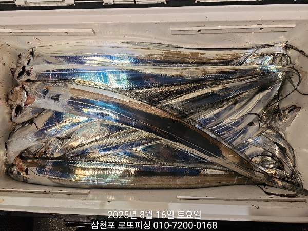 1000032942.jpg