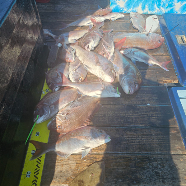 마검포 대한호(VIP)_사진_20250823_6.jpg