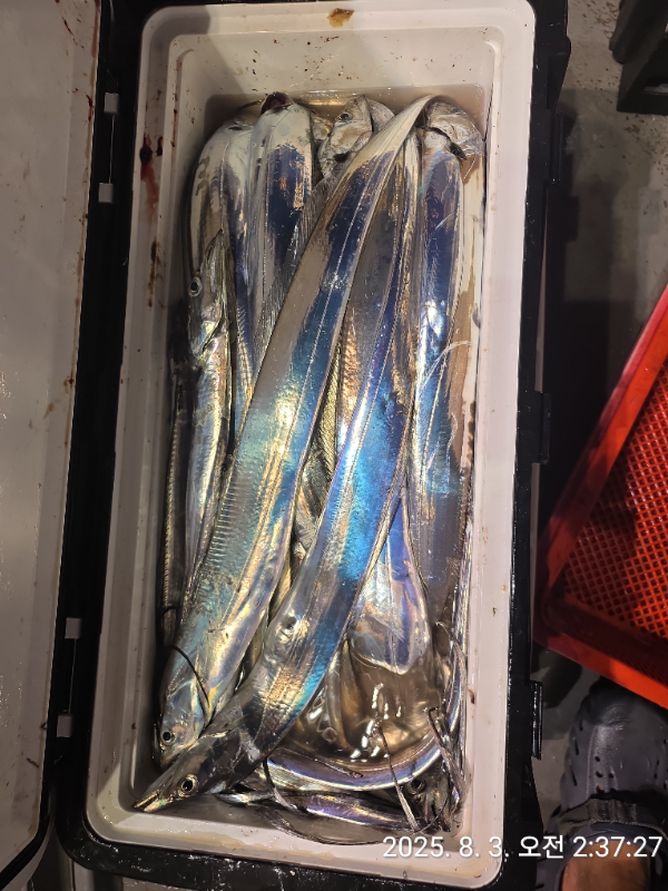 f49c09be3827f24aa11ccdf276e898ea.jpg
