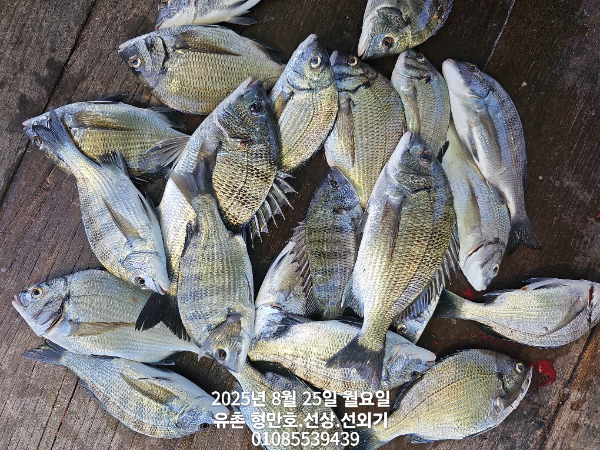 f52261c3d9d85f82228f1bc4d69b15c4.jpg