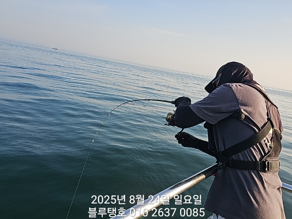 20250824_072505.jpg