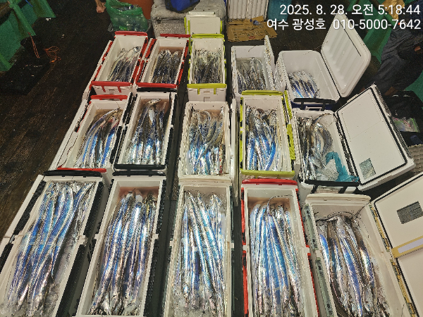 KakaoTalk_20250828_184111505_15.jpg