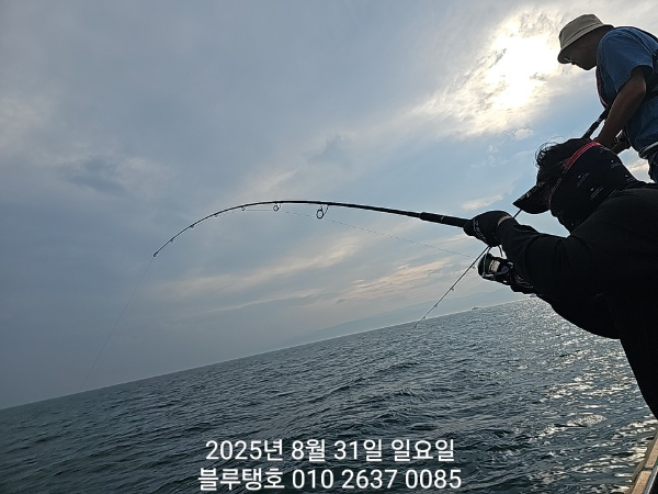20250831_163310.jpg
