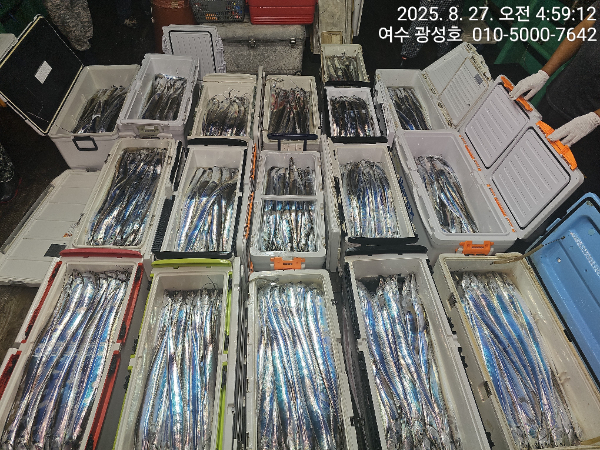 KakaoTalk_20250827_180442912_16.jpg