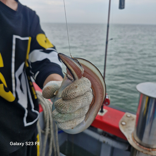 인천쭈꾸미낚시 (17).jpg