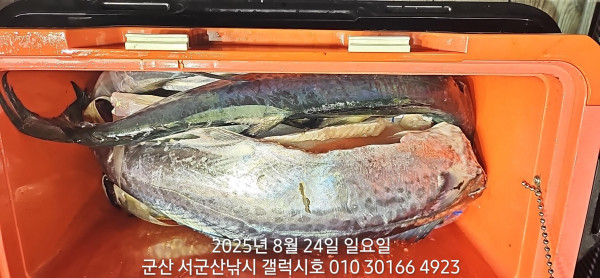 KakaoTalk_20250824_085534093_12.jpg