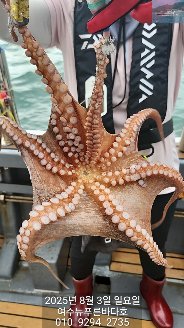 f724c4eeba3d2945b0e56685951c3cf4.jpg