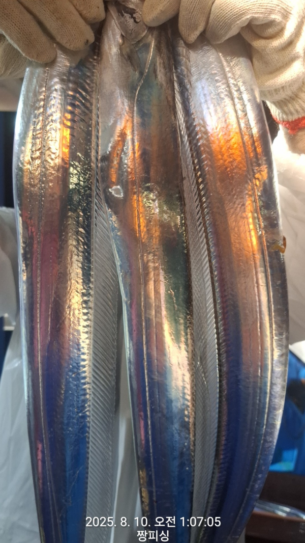 1000056080.jpg