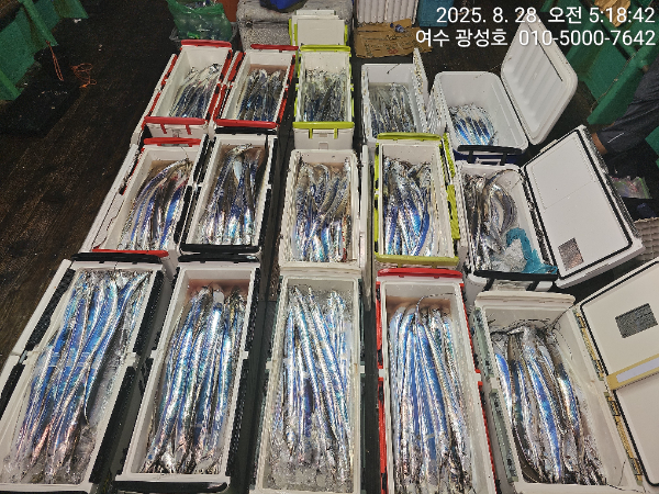 KakaoTalk_20250828_184111505_13.jpg