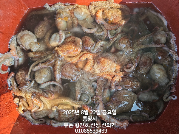 f74c948a1bdd245d46447a934164668f.jpg