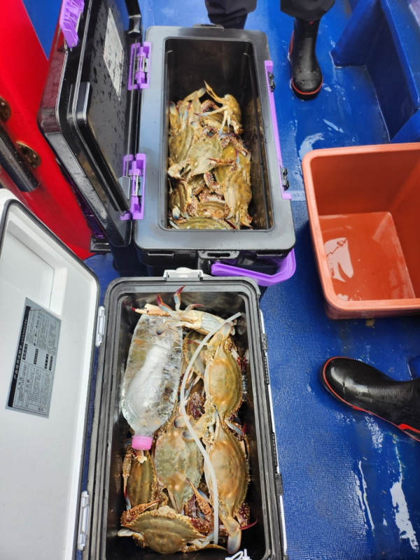 오천항 가즈아호_사진_20250831_3.jpg