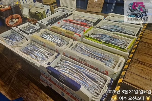 f785ed9f03f5ca96285263bb350a7485.jpg