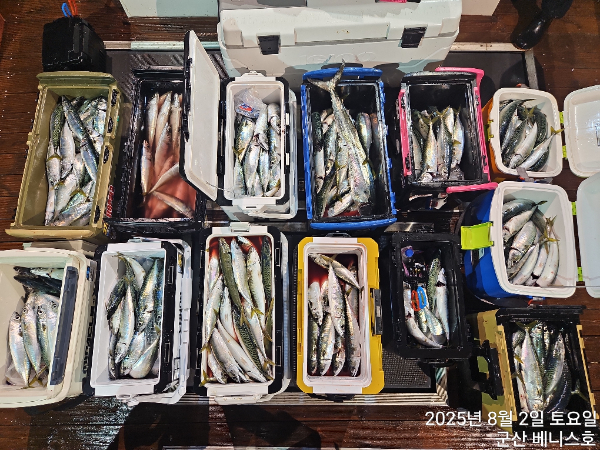 KakaoTalk_20250802_050843030.jpg
