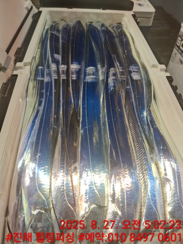 KakaoTalk_20250827_084016069_01.jpg