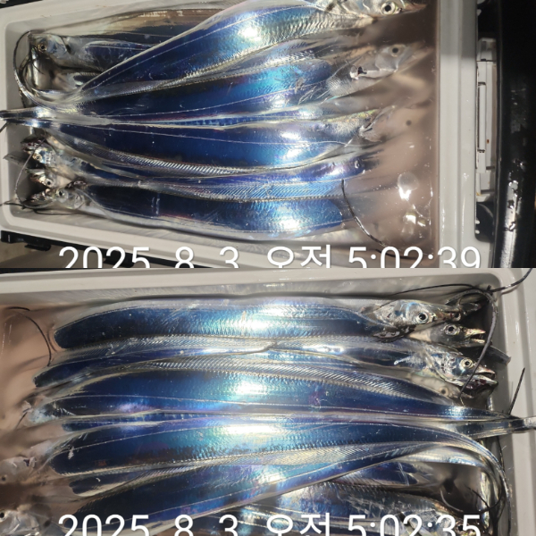 1000068345.jpg