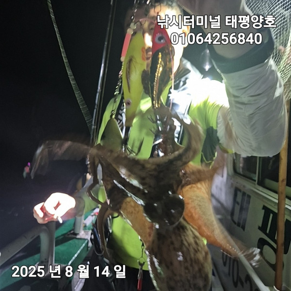KakaoTalk_20250815_024506761_07.jpg
